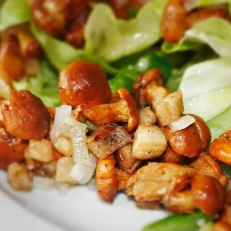 Zur Krone Ronneburg (Hessen)