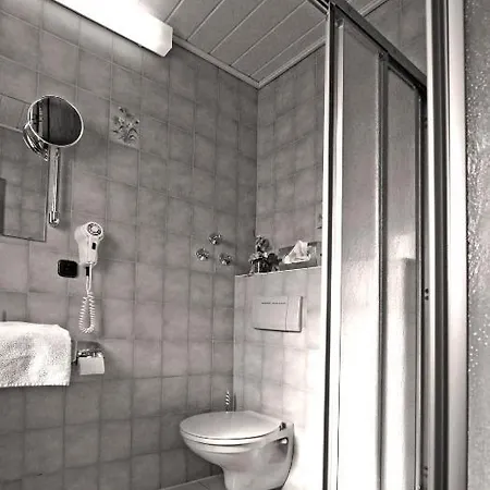 Zur Krone Ronneburg (Hessen)